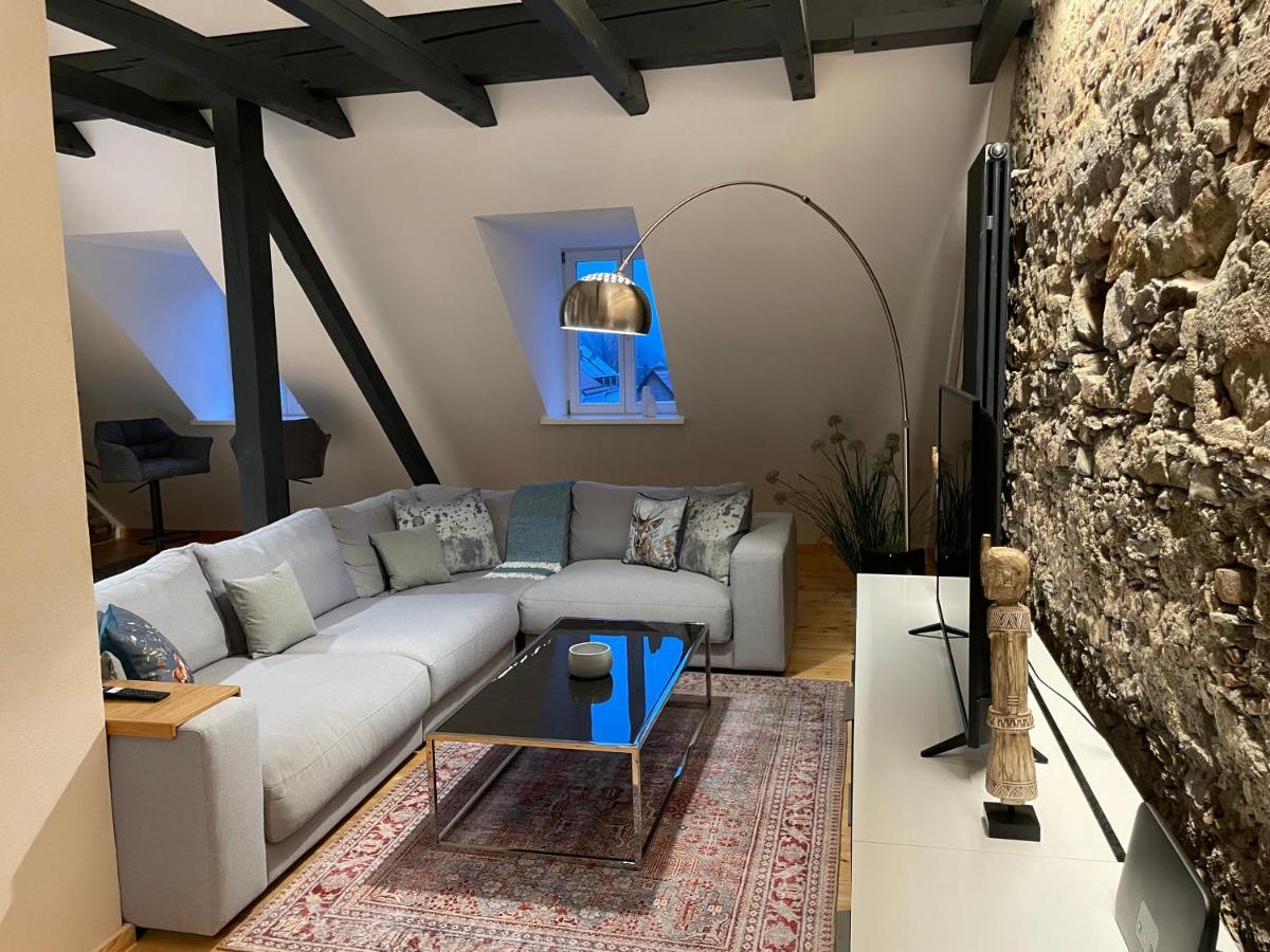 Voh Super Exklusives Loft, Zentral, Smart-Tv, Parkplatz Apartman Vohenstrauss Kültér fotó
