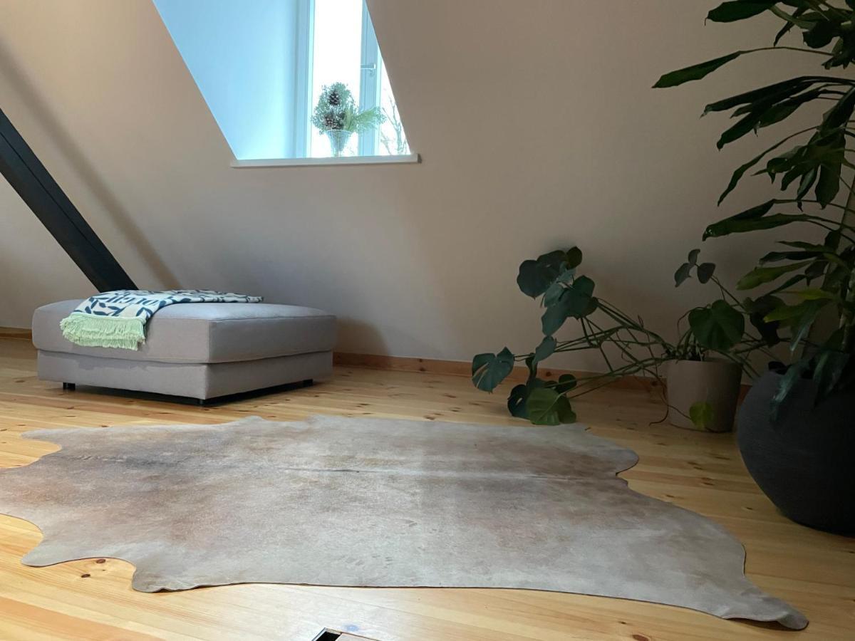 Voh Super Exklusives Loft, Zentral, Smart-Tv, Parkplatz Apartman Vohenstrauss Kültér fotó